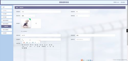 SpringBoot宠物领养系统23998计算机毕业设计 一个全栈软硬件开发实践